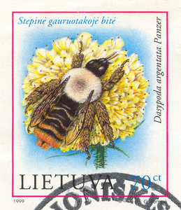 昆虫邮票摄影照片_邮票