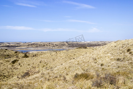 沙地景观，国家公园 Zuid Kennemerland，荷兰