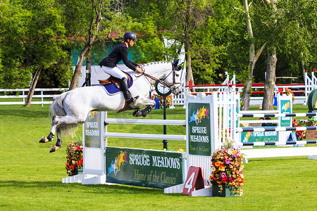 Spruce Meadows 国际马术比赛，