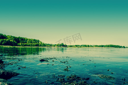 与海草的美好的湖风景