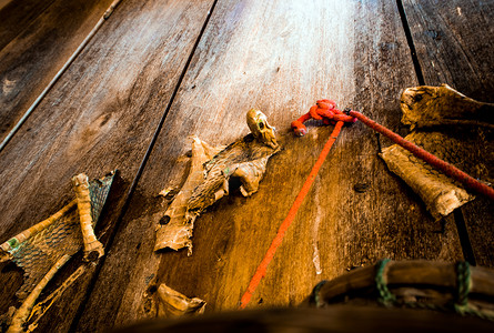 沃尔玛摄影照片_眼镜王蛇的干尸体装饰在木屋沃尔玛