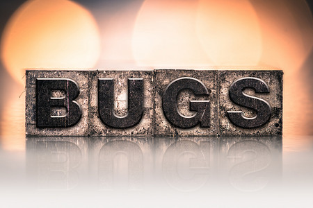 bugs摄影图片-bugs摄影作品-千库网