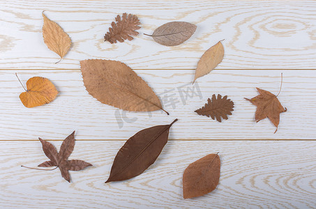 木板纹理上的干秋叶