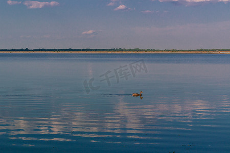 浮动图摄影照片_与孤独的鸭子和云彩反射的放松的水风景