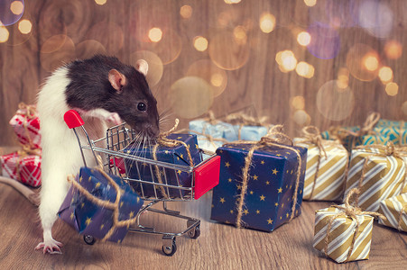 2020圣诞新年摄影照片_一只可爱的老鼠站在装有圣诞或新年礼物的购物车旁边。 