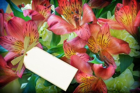 贺卡内页模板摄影照片_一束鲜花和一张空的贺卡
