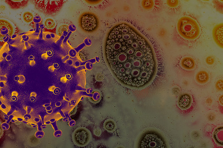 推广宣传海报摄影照片_COVID-19冠状病毒预防和检疫概念宣传海报