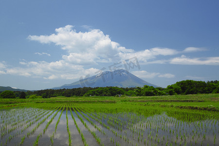 岩手山和田园风光