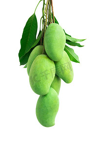 芒果加工摄影照片_白色背景中的一堆绿色芒果