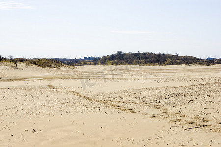 沙地蜜薯摄影照片_沙地景观，国家公园 Zuid Kennemerland，荷兰