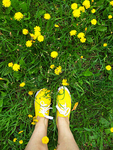 草地俯视图摄影照片_草地上的黄色运动鞋开着黄色的花，照片是我去散步时用手机拍的