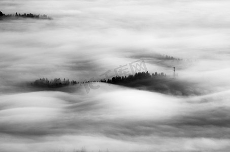 迷雾森林摄影照片_喀尔巴阡山脉迷雾森林中的晨光。