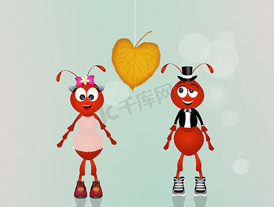 恋爱中的蚂蚁