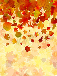 秋叶背景。