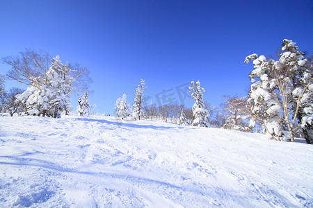 滑雪道