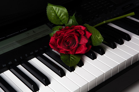 钢琴键和玫瑰花