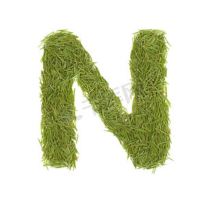 绿色字母，字母 N