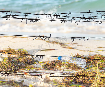 透过铁丝网，在满是海藻、垃圾和空塑料瓶的肮脏海滩上