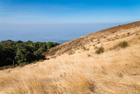 Doi Inthanon，清迈，泰国高山稀树草原草原