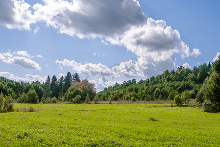树林草地背景摄影照片_草地与树林和完美的蓝天