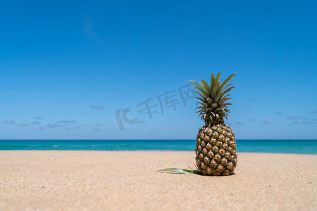 充足的营养摄影照片_在沙子的菠萝与在蓝天夏天概念。