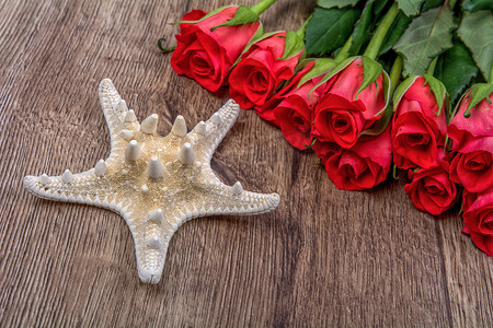 海星图案摄影照片_木制背景中的白色海星和玫瑰
