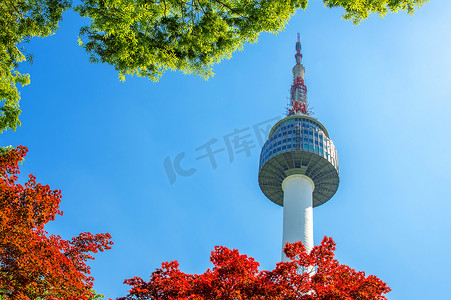 首尔建筑摄影照片_So 南山首尔塔和红秋枫叶