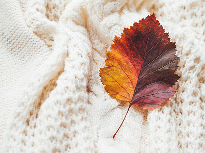 鲜艳多彩的秋叶手工绞花针织衫