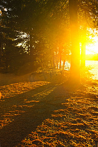 黄昏湖边摄影照片_湖边傍晚森林里的阳光