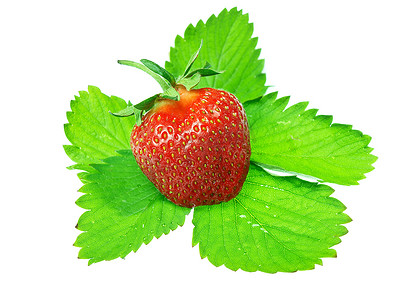 新鲜可口的草莓在白色背景下被隔离