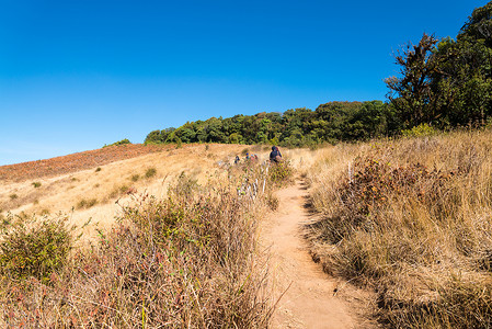 人行道在清迈茵他侬高山大草原草原，