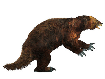 Megatherium 树懒侧面轮廓