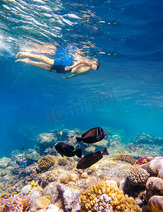 水下拍摄摄影照片_一个小男孩在红海浮潜的水下拍摄