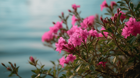 一种开着粉红色花朵的植物，开在水体前面