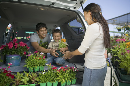 家庭将植物装入小型货车
