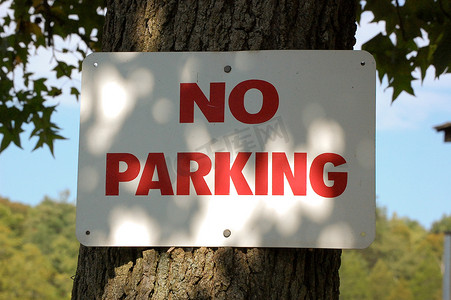 禁止停车标志钉在树上