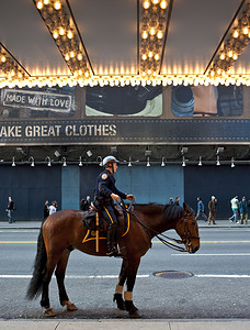 马的警察，时代广场， NYC