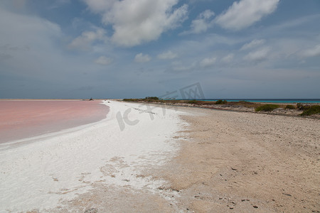 玫瑰盐开采加勒比湖博内尔岛
