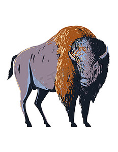 美洲野牛 美国水牛或曾经漫游北美的水牛 WPA 海报艺术