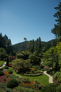 不列颠哥伦比亚省维多利亚的布查特花园