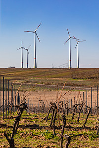 抵抗台风摄影照片_德国风景中葡萄藤前的几台风力涡轮机