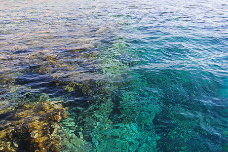海水清澈的蓝色和绿松石色