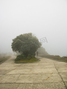 大气公路摄影照片_雾蒙蒙的风景，远处有树和人影，前面是一条漂亮的小路