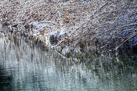 山口叶摄影照片_冬天 树叶 Snow 冰 抽象 Wenatchee River Valley