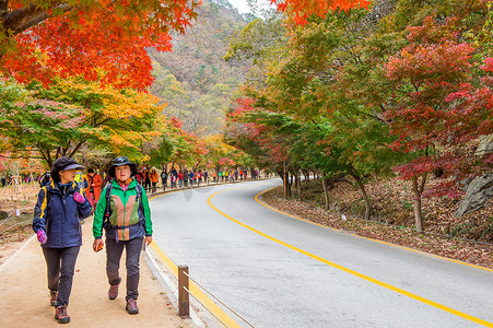 游客在秋季拍摄韩国 Naejangsan 周围美丽的风景。