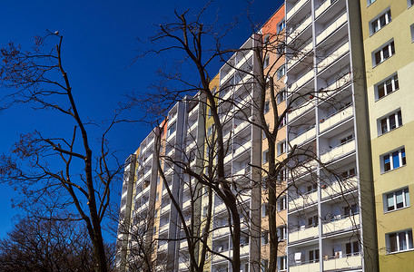 一棵树的树枝与一栋现代住宅楼的正面相映成趣