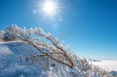 雪岳山在冬天被雪覆盖，韩国。