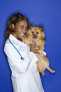 女兽医抱着狗。