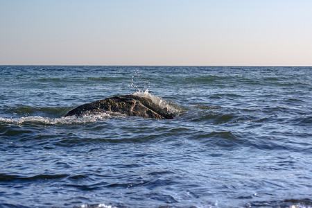 波罗的海沿岸摄影照片_德国波罗的海沿岸夏季假期
