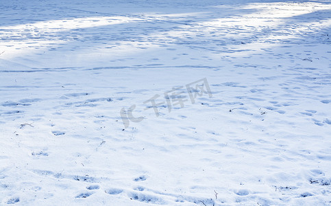 雪光与影